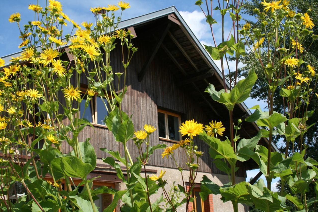 Bed and Breakfast Notre Cachette Biffontaine Экстерьер фото